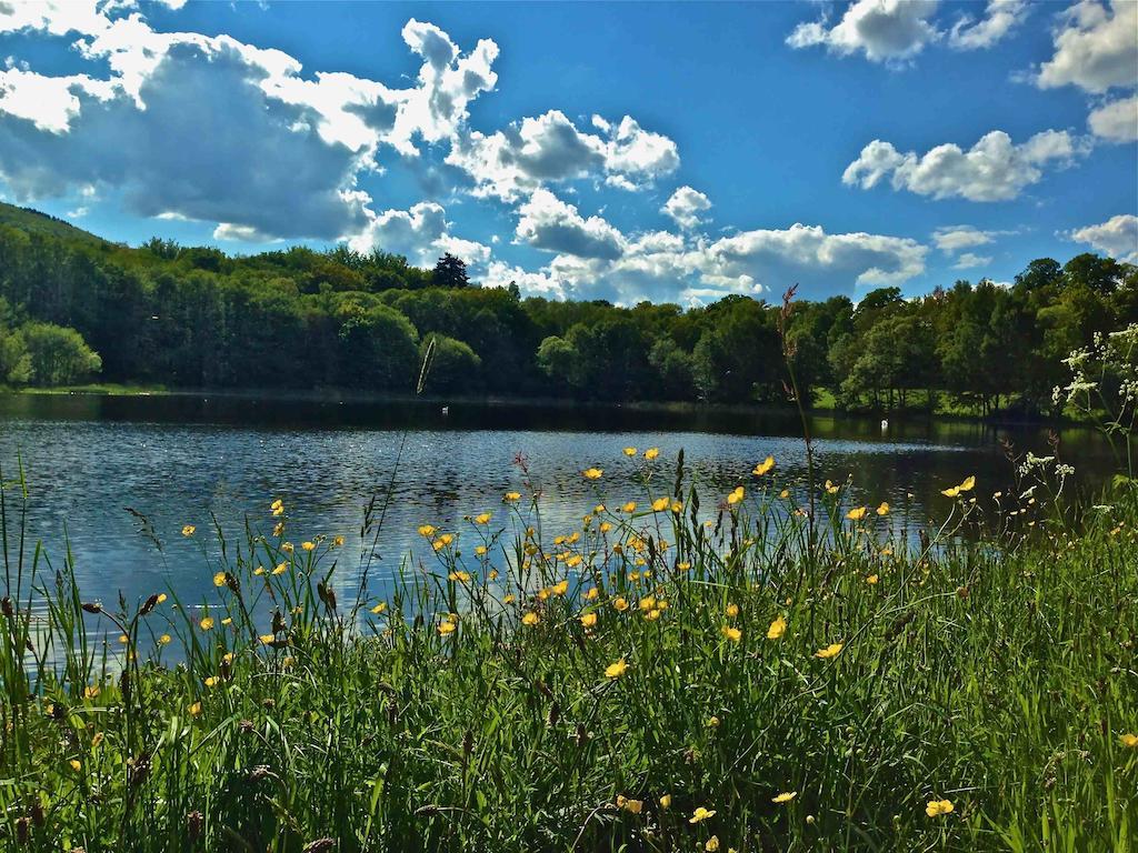 Holiday home Kunstpark Reinhardsbrunn Friedrichroda